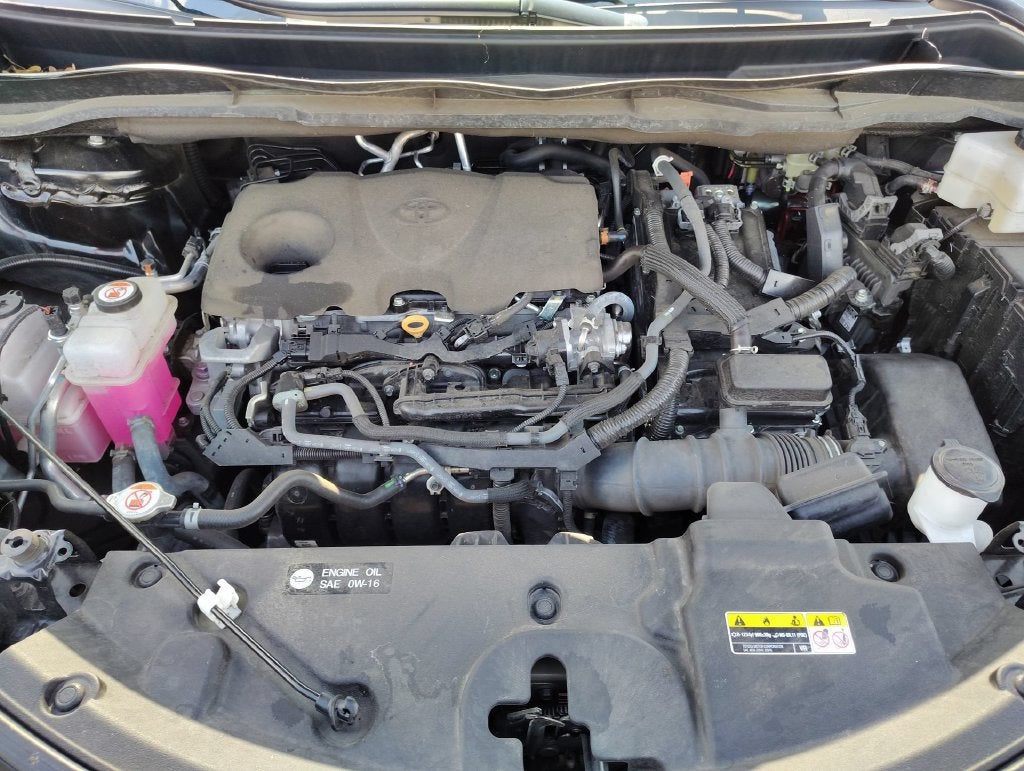 2023 Toyota Sienna XSE 7 Passenger