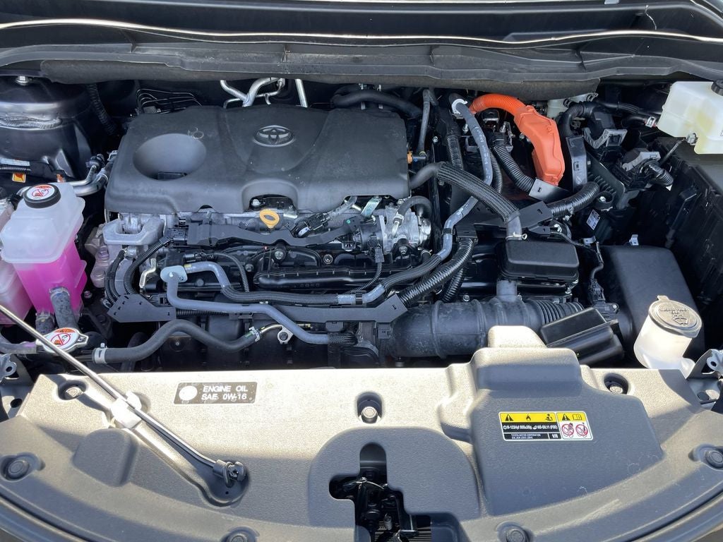2025 Toyota Sienna Limited 7 Passenger