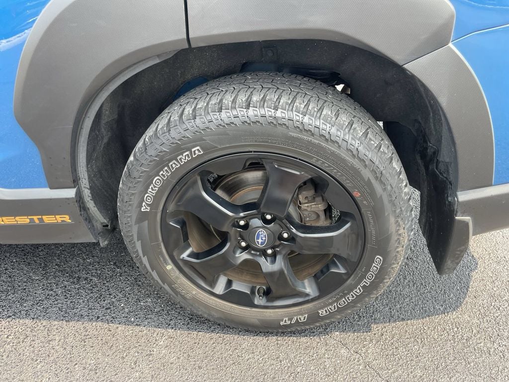 2023 Subaru Forester Wilderness