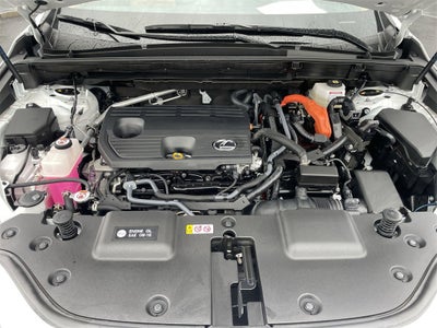 2025 Lexus NX 350h Premium