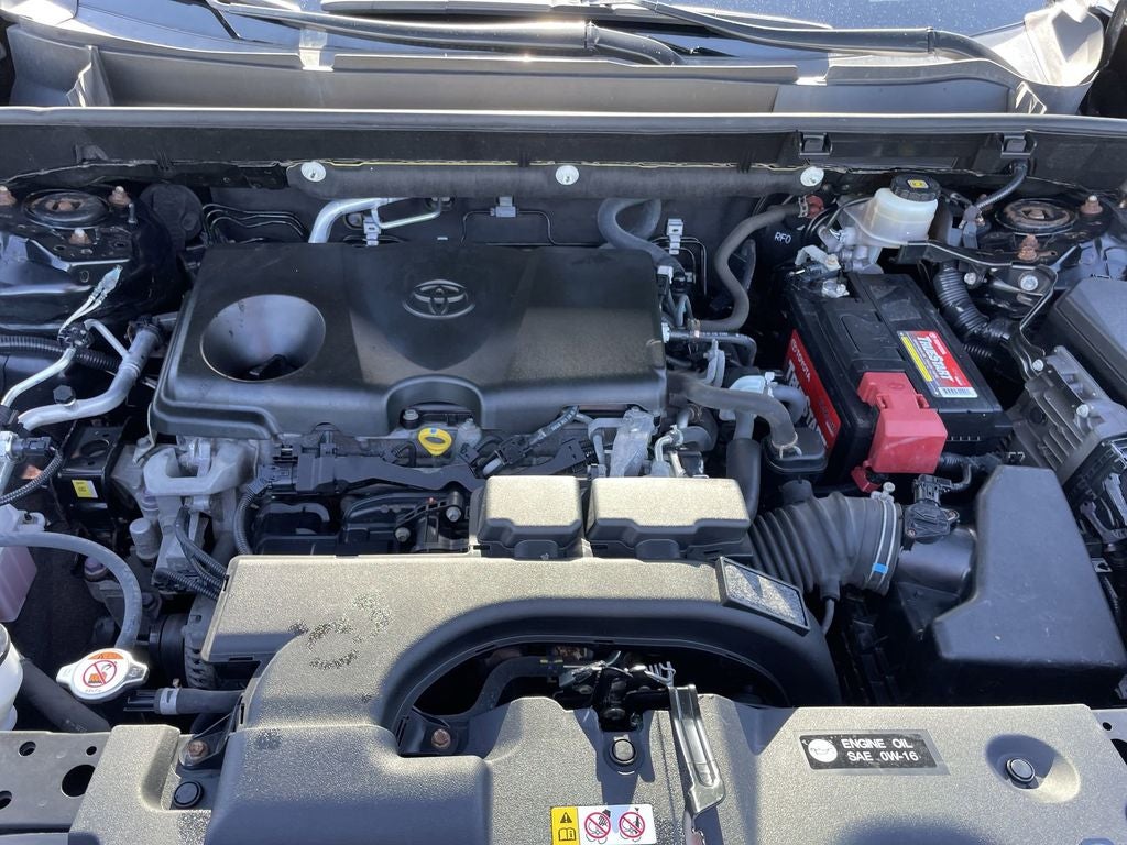 2019 Toyota RAV4 LE
